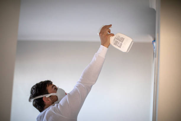 Best Black Mold Removal  in Cross Mountain, TX