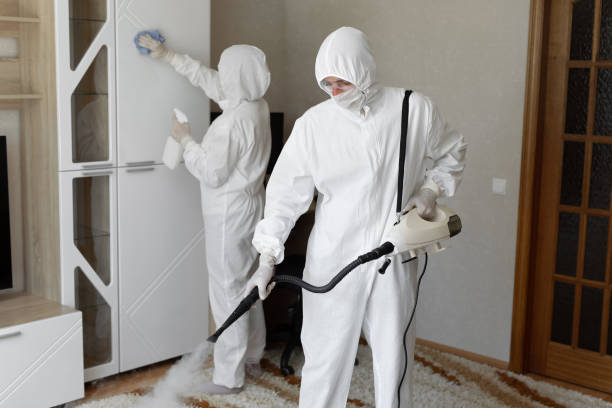 Best Mold Testing and Removal  in Cross Mountain, TX