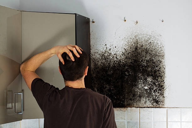 Best Commercial Mold Removal  in Cross Mountain, TX